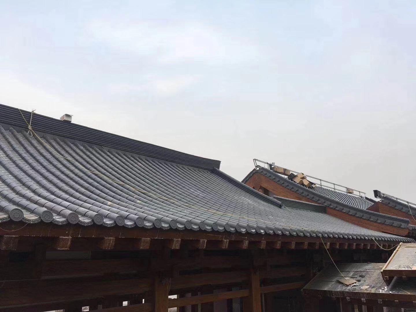 2025新澳门免费原料宝典