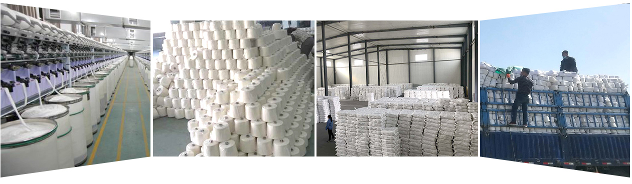 2025新澳门免费原料宝典